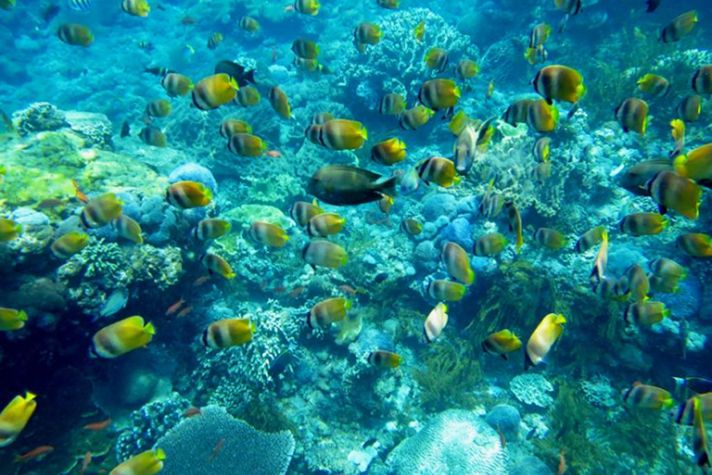 Wall Point Nusa Penida@thenusapenida.com