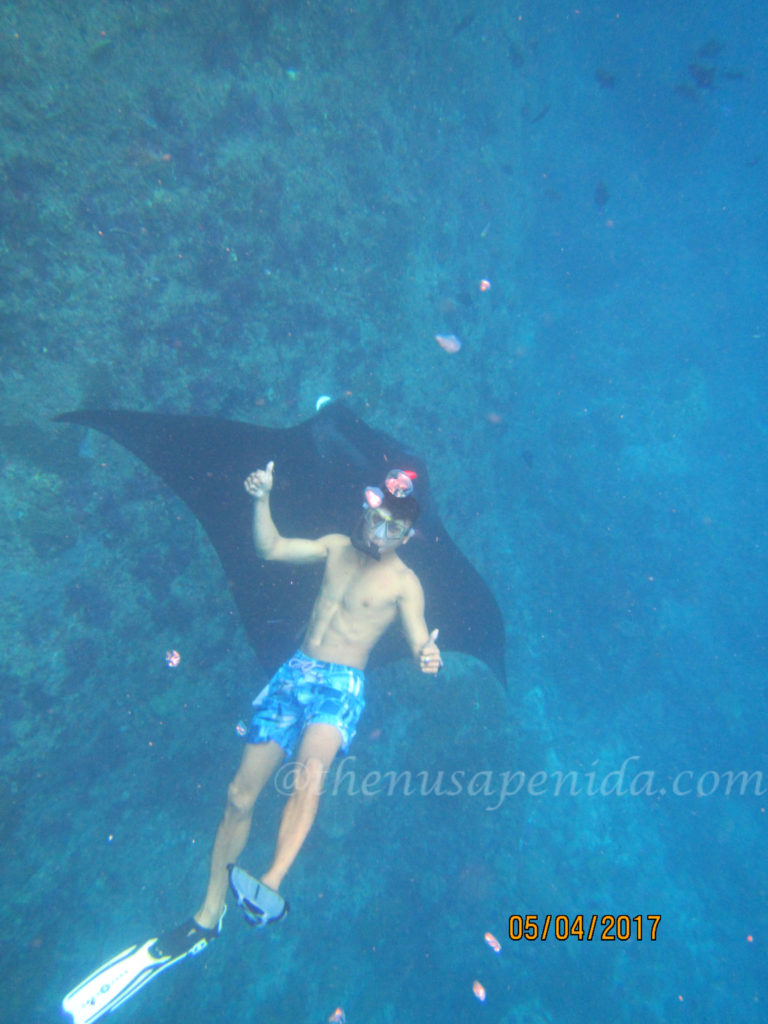Manta Point@thenusapenida.com