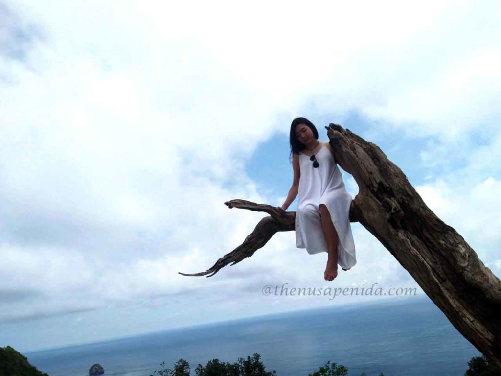 Pohon Cinta Mati Nusa Penida@thenusapenida.com