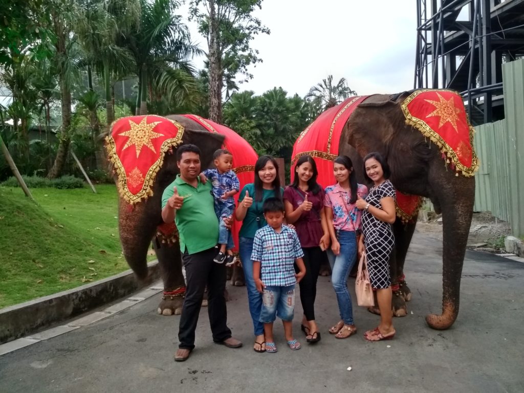 Dinner With The Great Elephantatbalizoo@thenusapenida.com
