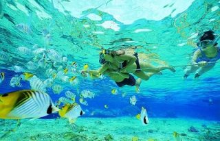 Snorkeling-di-nusa-penida2-320x206
