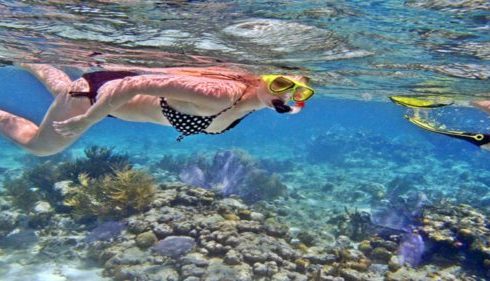 snorkelingdinusapenida@thenusapenida.com