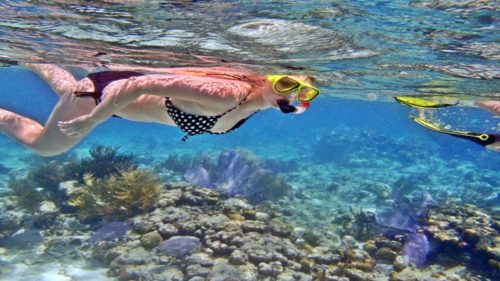 snorkelingdinusapenida@thenusapenida.com