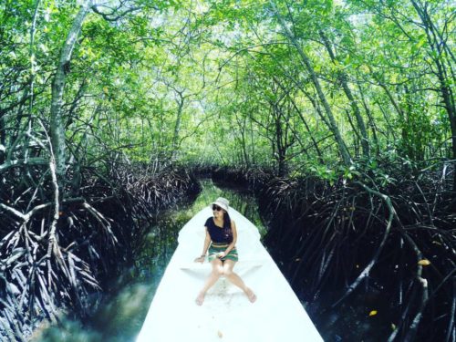 Mangrove Forest Nusa Lembonga@thenusapenida.com