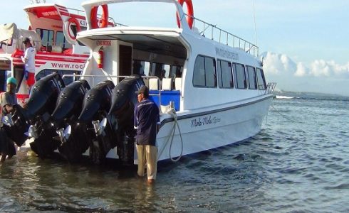 Mola-Mola Express@thenusapenida.com