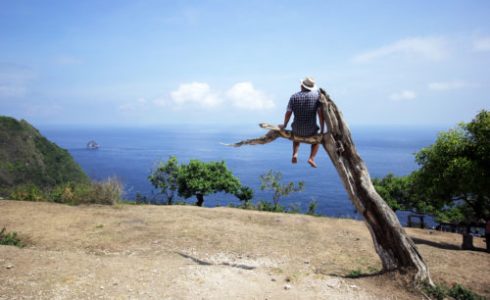 Pohon Cinta Mati Nusa Penida,,