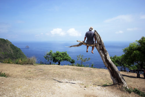 Pohon Cinta Mati Nusa Penida,,