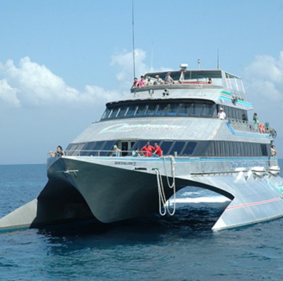 Quicksilver Cruise@thenusapenida.com,,