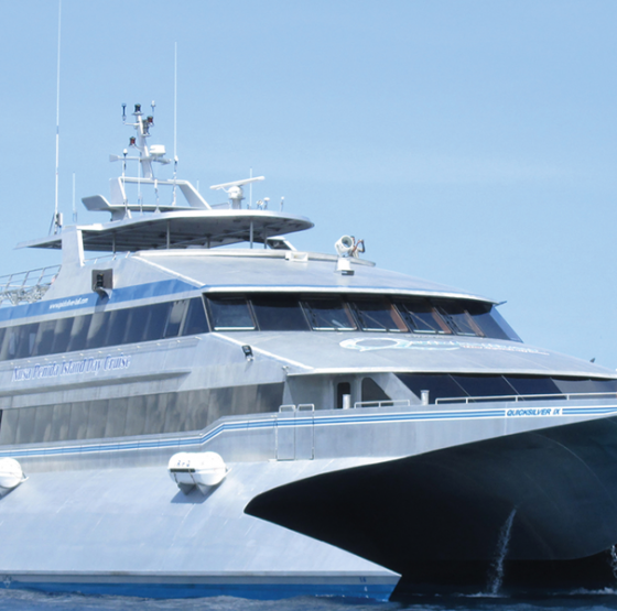 Quicksilver cruise@thenusapenida.com
