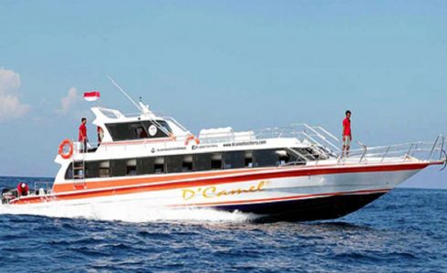 Dcamel-Fast-Boat..