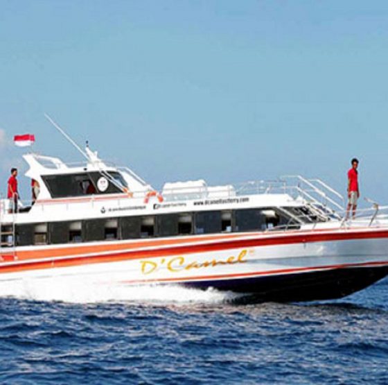 Dcamel-Fast-Boat..