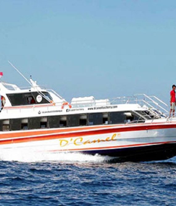 Dcamel-Fast-Boat..