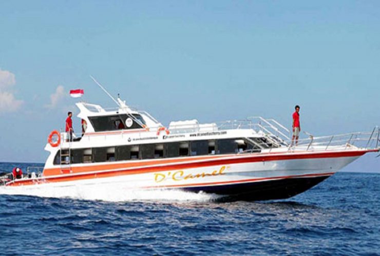 Dcamel-Fast-Boat..