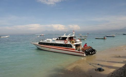 Dcamel fast boat@thenusapenida.com