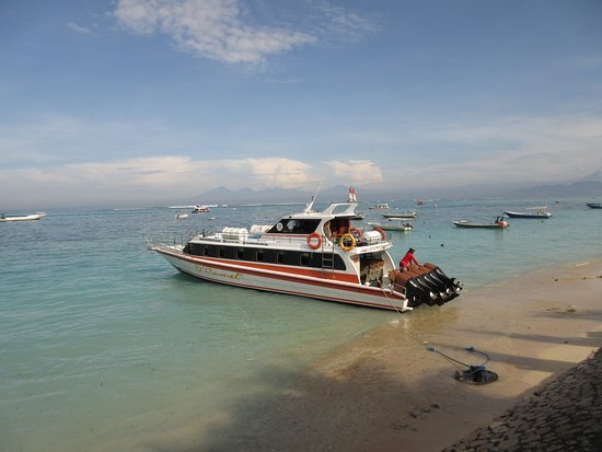 Dcamel fast boat@thenusapenida.com