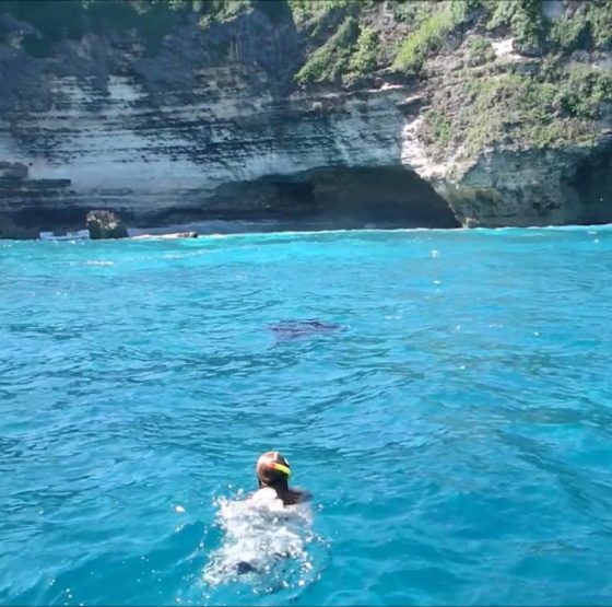 Manta Point Nusa Penida@thenusapenida.com
