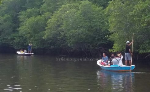 Mangrove Forest Nusa Lembongan@thenusapenida.com