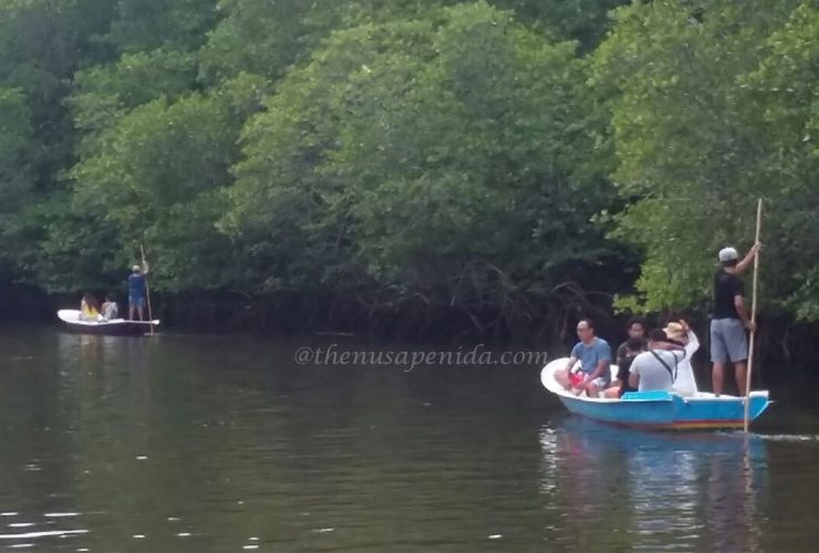 Mangrove Forest Nusa Lembongan@thenusapenida.com