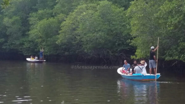 Mangrove Forest Nusa Lembongan@thenusapenida.com