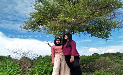 Bukitteletubies@thenusapenida.com