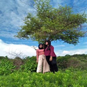Bukitteletubies@thenusapenida.com