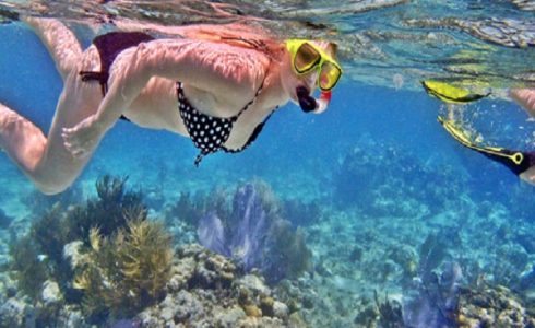 SnorkelingdiNusaPenida@thenusapenida.com