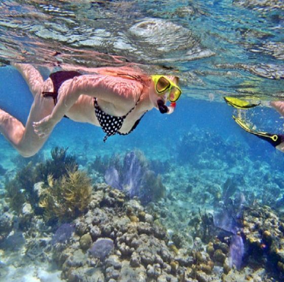 SnorkelingdiNusaPenida@thenusapenida.com