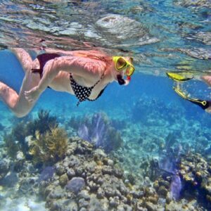 SnorkelingdiNusaPenida@thenusapenida.com