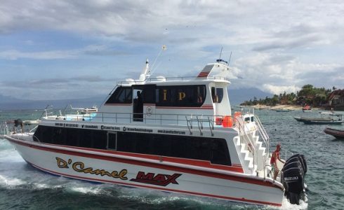 dcamel max Fast Boat@thenusapenida.com