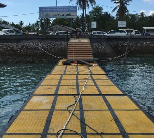elreyjuniorfastboat@thenusapenida.com