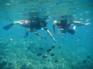 mangrove point @thenusapenida.com