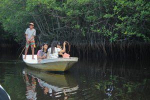 mangrove forest Nusa Lembongan@thenusapenida.com