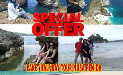 Promopakethalfdaytournusapenida@thenusapenida.com