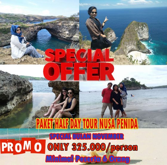 Promopakethalfdaytournusapenida@thenusapenida.com