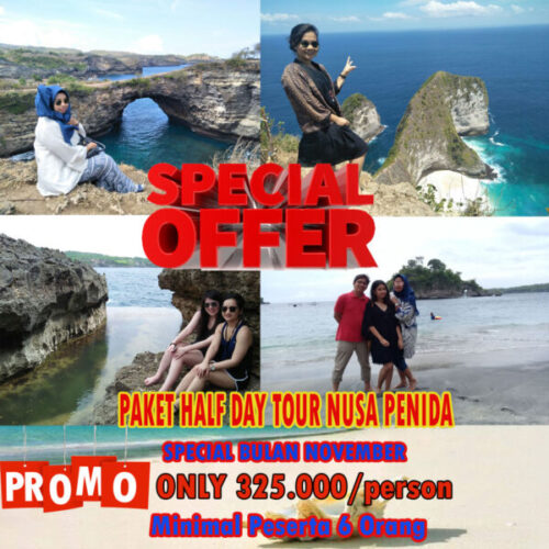 Promopakethalfdaytournusapenida@thenusapenida.com