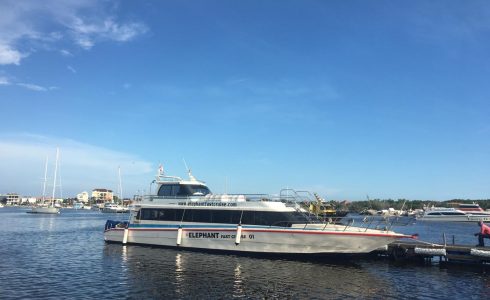 elephantfastcruise@thenusapenida.com