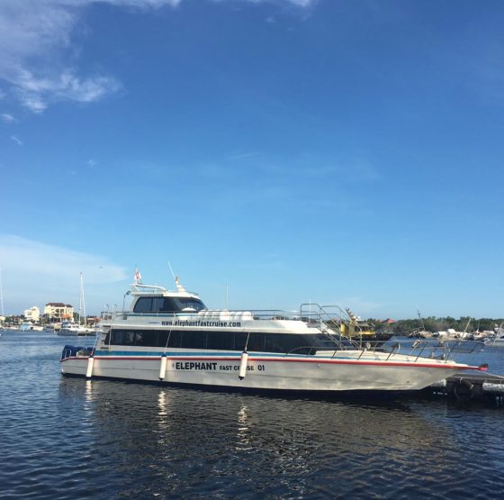 elephantfastcruise@thenusapenida.com