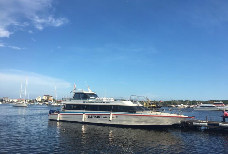 elephantfastcruise@thenusapenida.com