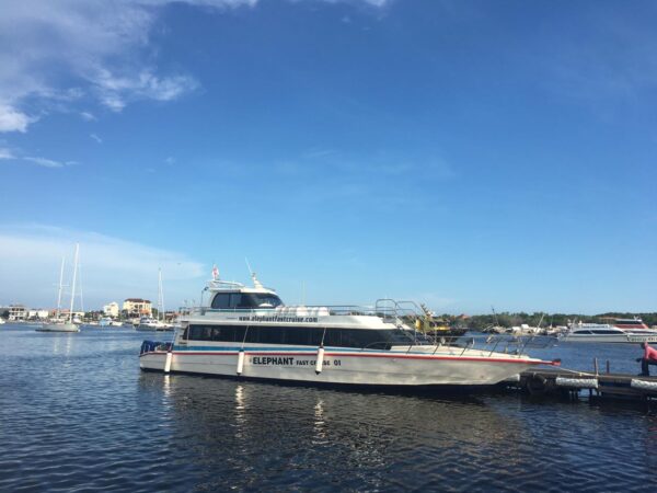 elephantfastcruise@thenusapenida.com