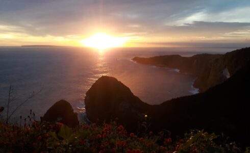 paluangcliff@thenusapenida.com
