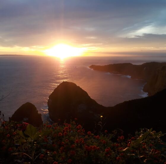 paluangcliff@thenusapenida.com