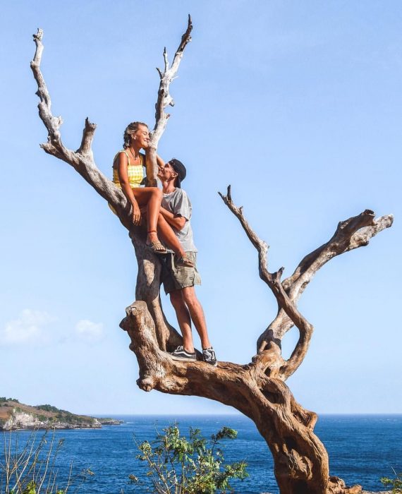 treeangelnusapenida@thenusapenida.com