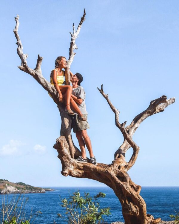 treeangelnusapenida@thenusapenida.com