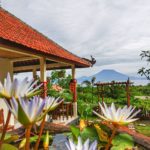 Hotra Hill Cottage@thenusapenida.com