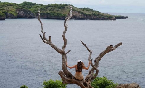 Tree Angel Nusa Penida@thenusapenida.com