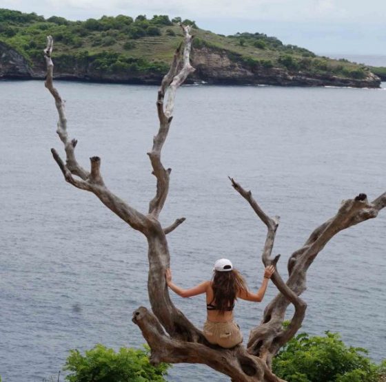 Tree Angel Nusa Penida@thenusapenida.com