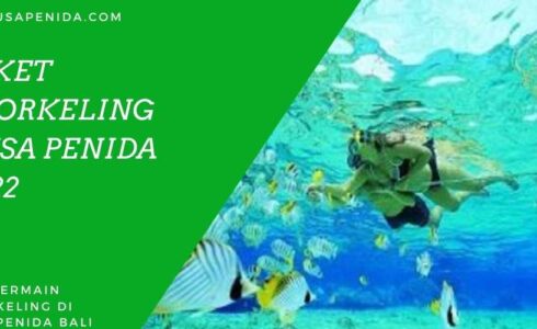 Paket Snorkeling Nusa Penida 2022