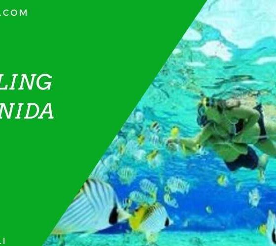 Paket Snorkeling Nusa Penida 2022