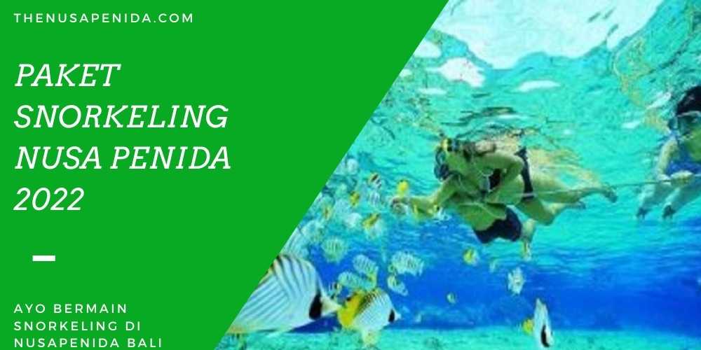 Paket Snorkeling Nusa Penida 2022