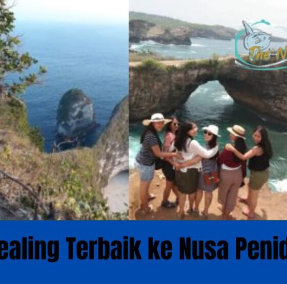 paket tour nusa penida